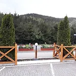 Hotel ольга Tatariv
