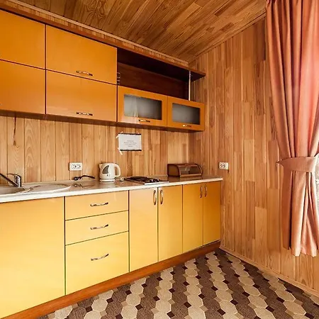 Hotel ольга
