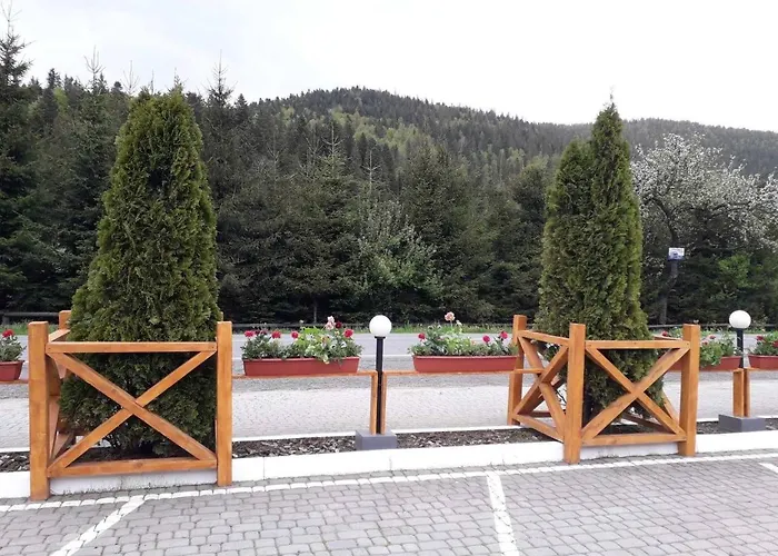 Hotel ольга Tatariw