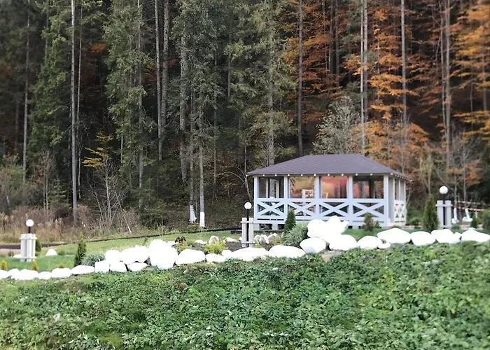 Hotel ольга *