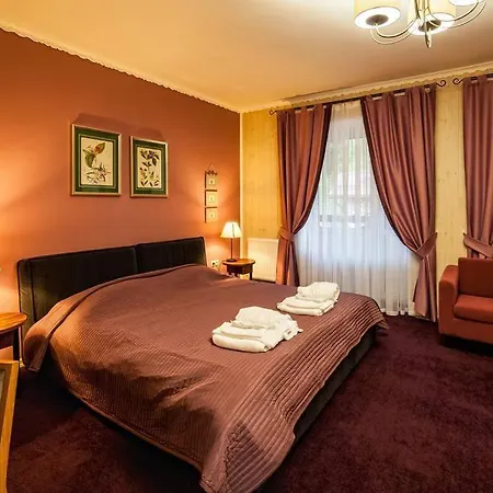 Hotel ольга *