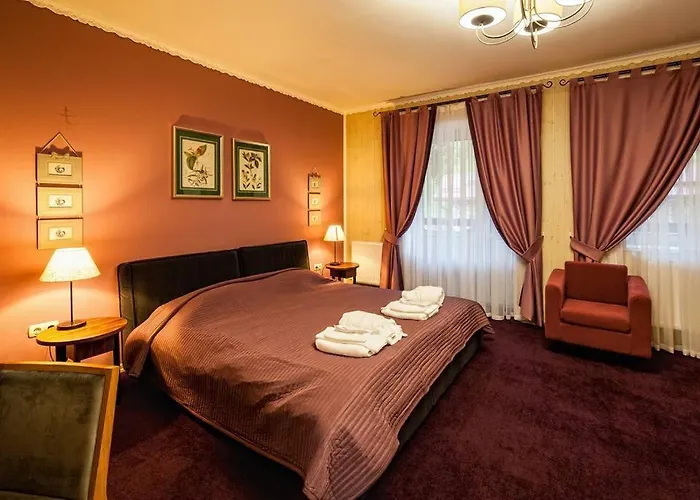 Hotel ольга *